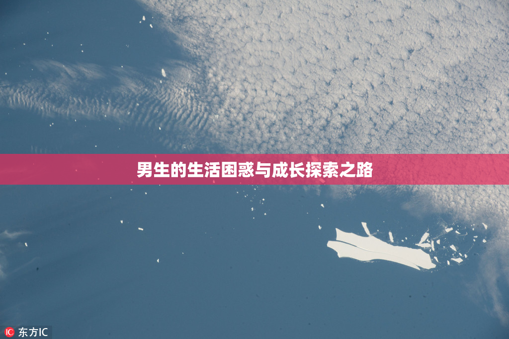 男生的生活困惑与成长探索之路