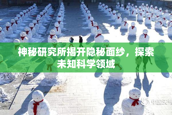 神秘研究所揭开隐秘面纱，探索未知科学领域