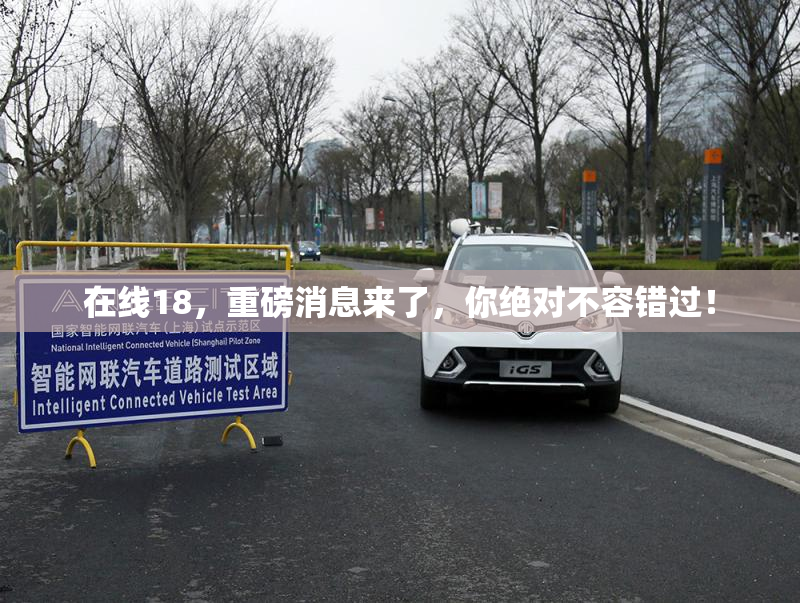 在线18，重磅消息来了，你绝对不容错过！