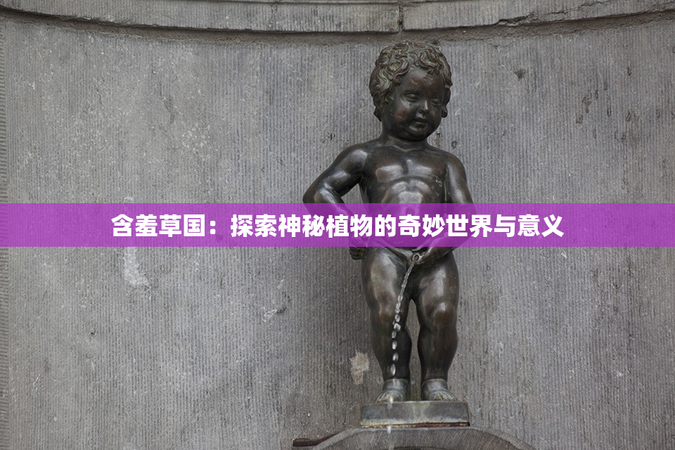 含羞草国：探索神秘植物的奇妙世界与意义