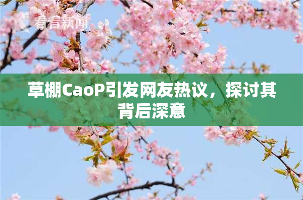 草棚CaoP引发网友热议，探讨其背后深意