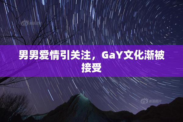 男男爱情引关注，GaY文化渐被接受