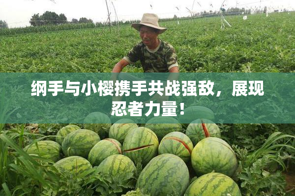 纲手与小樱携手共战强敌，展现忍者力量！