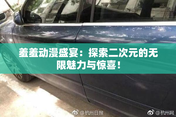 羞羞动漫盛宴：探索二次元的无限魅力与惊喜！