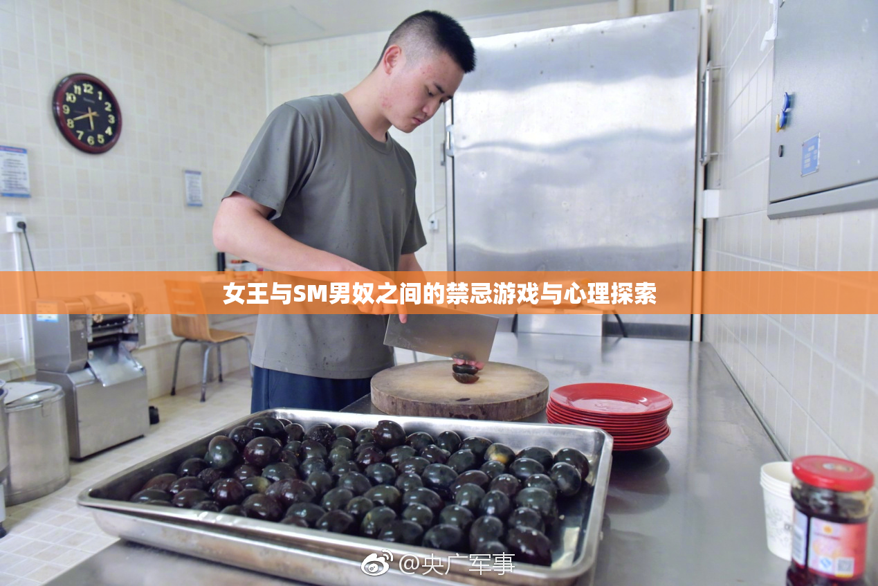 女王与SM男奴之间的禁忌游戏与心理探索