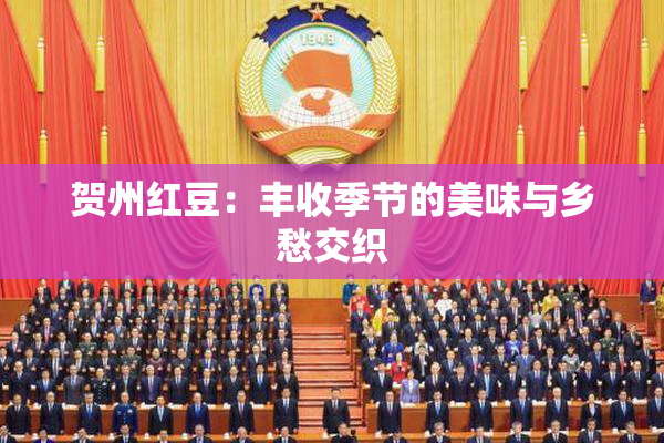 贺州红豆：丰收季节的美味与乡愁交织