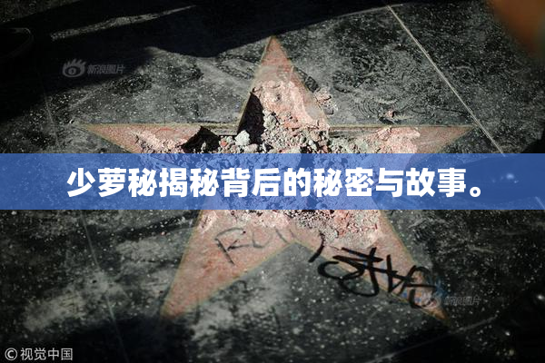 少萝秘揭秘背后的秘密与故事。