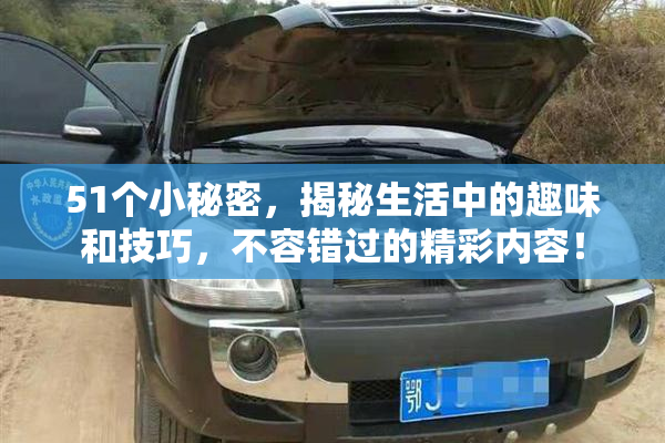 51个小秘密，揭秘生活中的趣味和技巧，不容错过的精彩内容！