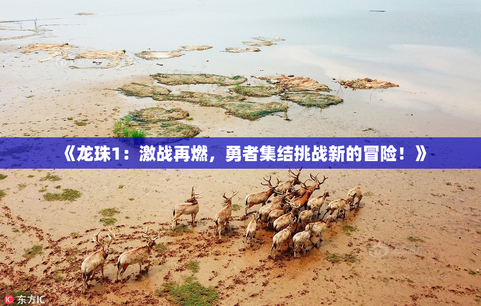 《龙珠1：激战再燃，勇者集结挑战新的冒险！》