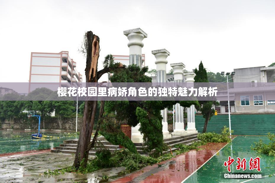 樱花校园里病娇角色的独特魅力解析