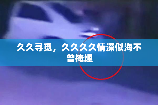 久久寻觅，久久久久情深似海不曾掩埋