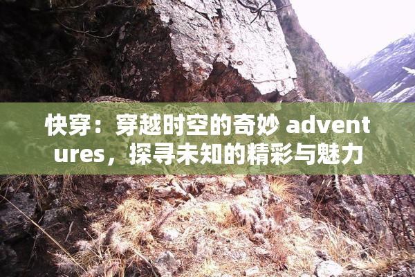 快穿：穿越时空的奇妙 adventures，探寻未知的精彩与魅力