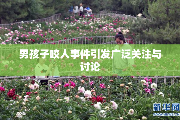 男孩子咬人事件引发广泛关注与讨论