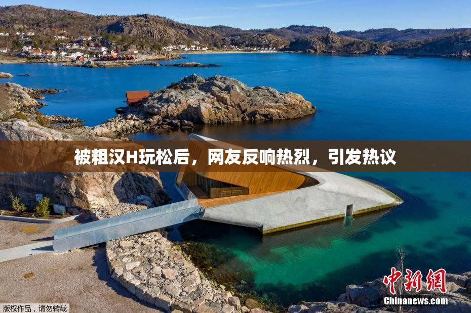 被粗汉H玩松后，网友反响热烈，引发热议