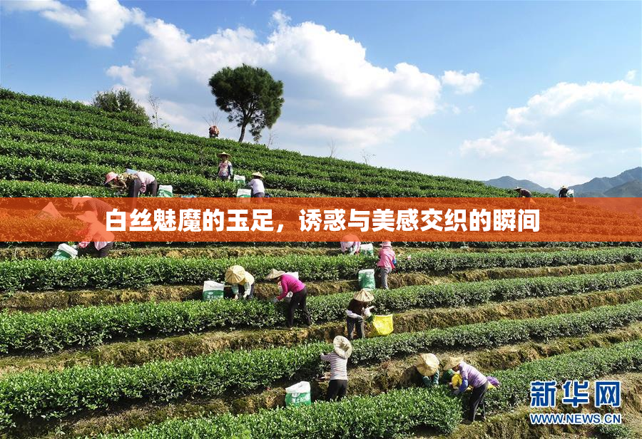 白丝魅魔的玉足，诱惑与美感交织的瞬间