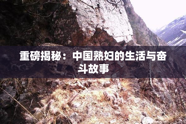 重磅揭秘：中国熟妇的生活与奋斗故事