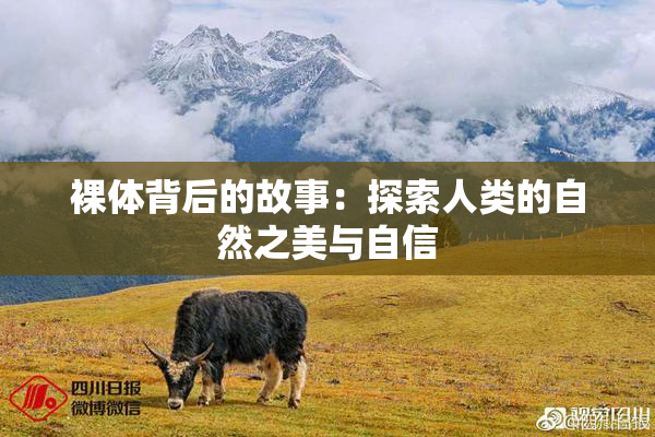 裸体背后的故事：探索人类的自然之美与自信