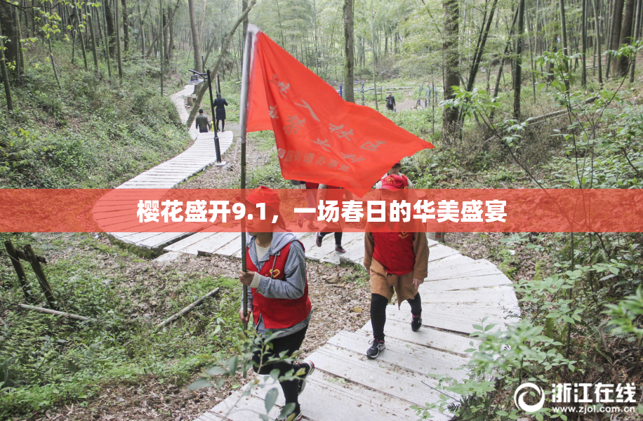 樱花盛开9.1，一场春日的华美盛宴