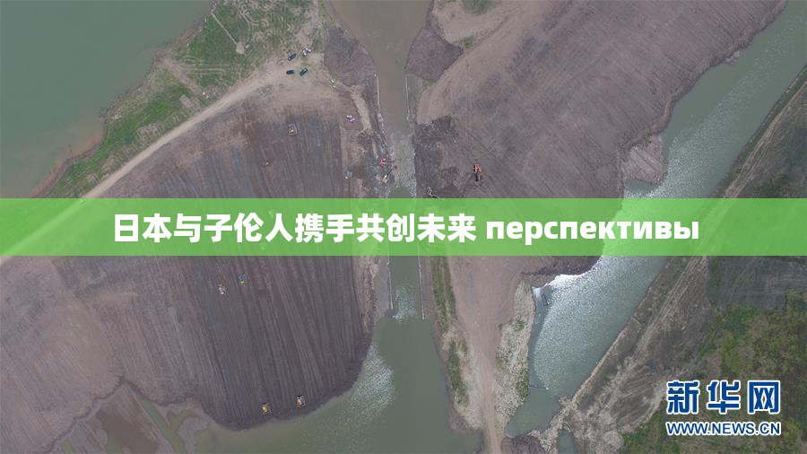 日本与子伦人携手共创未来 перспективы