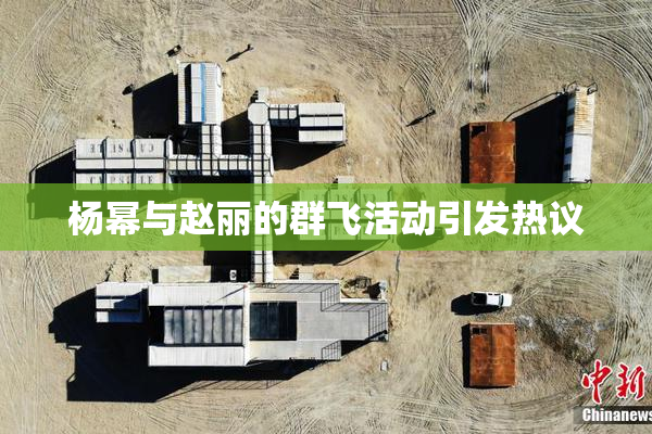 杨幂与赵丽的群飞活动引发热议