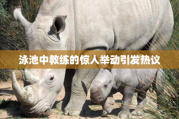 泳池中教练的惊人举动引发热议