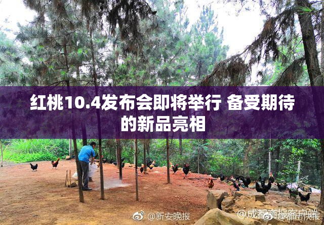 红桃10.4发布会即将举行 备受期待的新品亮相
