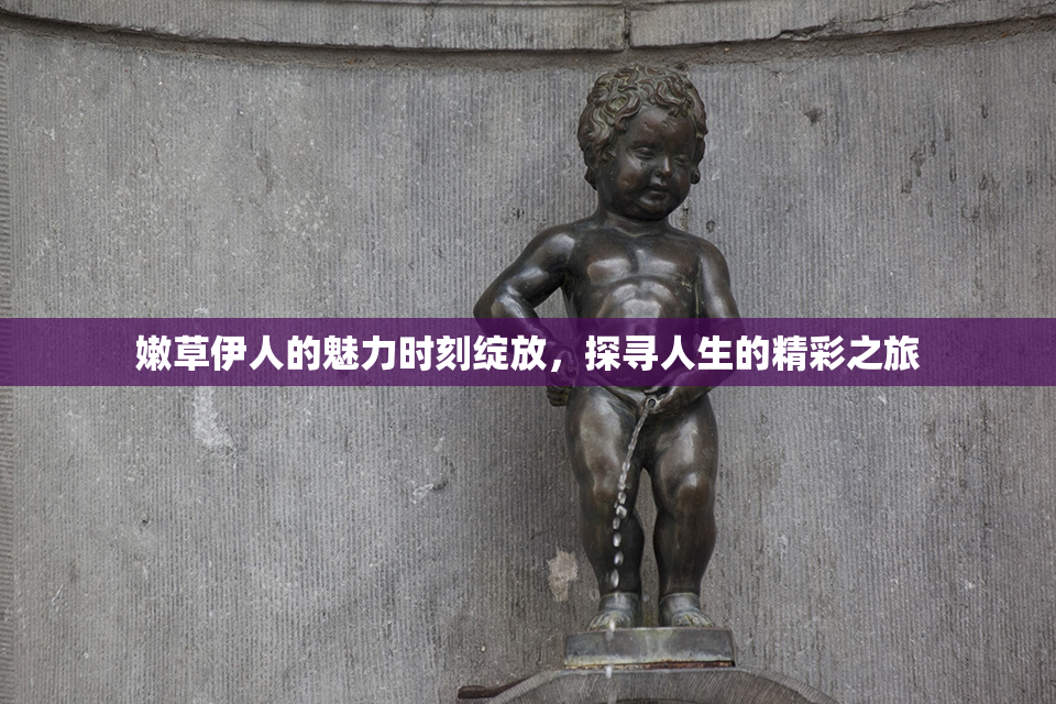 嫩草伊人的魅力时刻绽放，探寻人生的精彩之旅