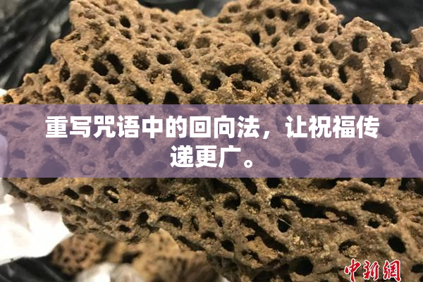 重写咒语中的回向法，让祝福传递更广。