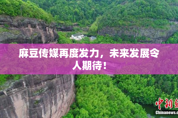 麻豆传媒再度发力，未来发展令人期待！