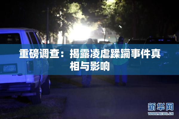 重磅调查：揭露凌虐蹂躏事件真相与影响