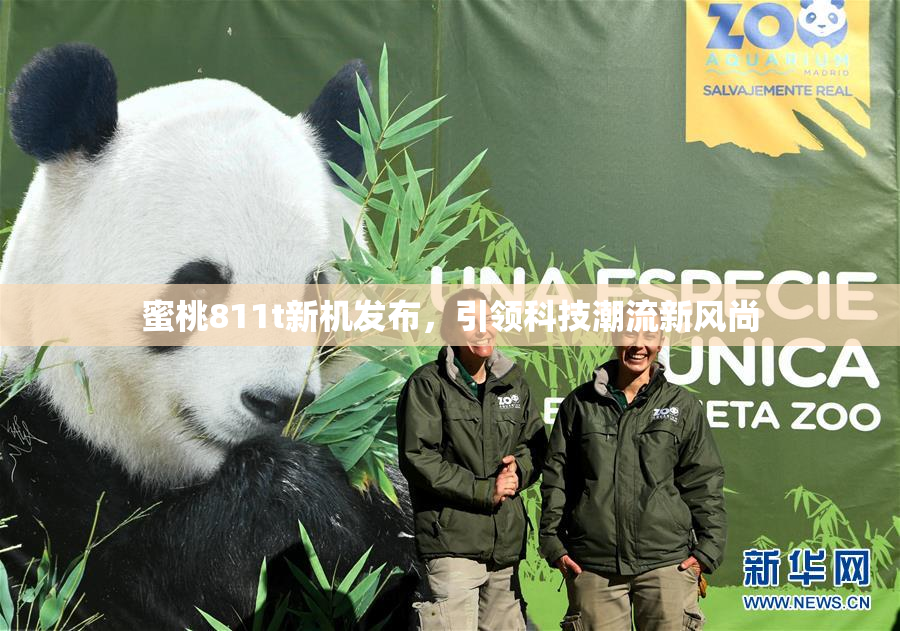 蜜桃811t新机发布，引领科技潮流新风尚