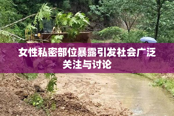 女性私密部位暴露引发社会广泛关注与讨论