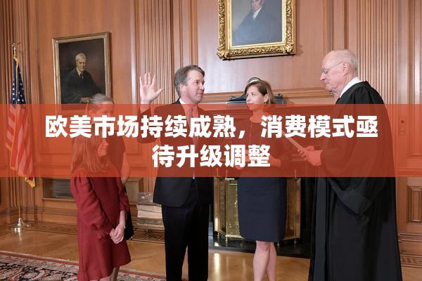欧美市场持续成熟，消费模式亟待升级调整