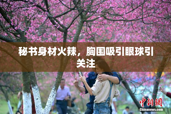 秘书身材火辣，胸围吸引眼球引关注