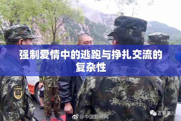 强制爱情中的逃跑与挣扎交流的复杂性