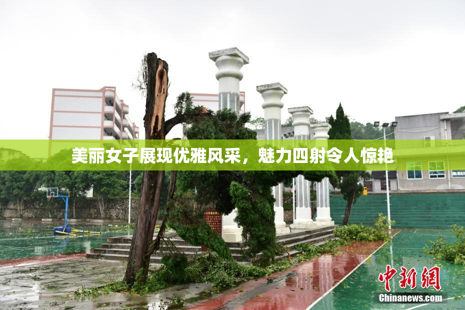 美丽女子展现优雅风采，魅力四射令人惊艳