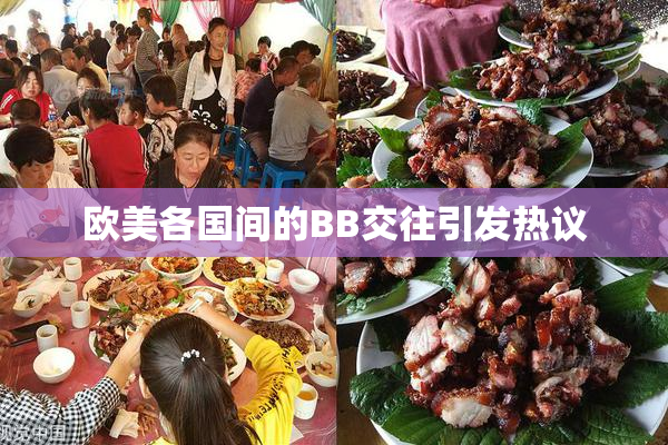 欧美各国间的BB交往引发热议