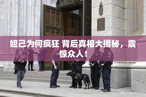 妲己为何疯狂 背后真相大揭秘，震惊众人！