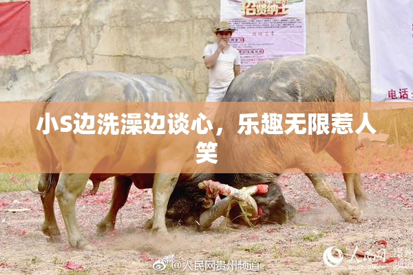 小S边洗澡边谈心，乐趣无限惹人笑