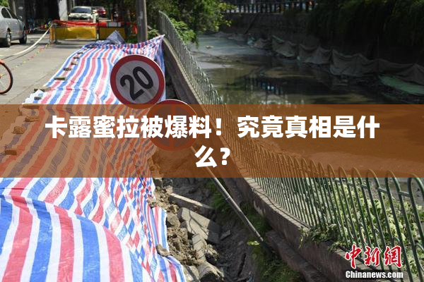 卡露蜜拉被爆料！究竟真相是什么？
