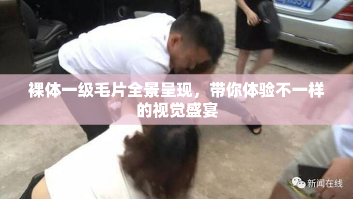 裸体一级毛片全景呈现，带你体验不一样的视觉盛宴