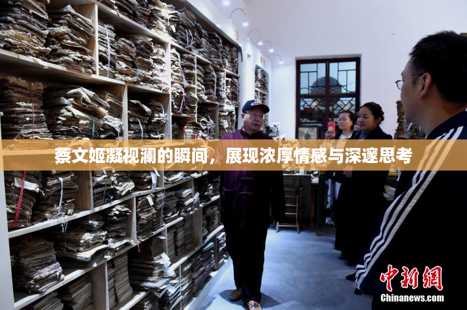 蔡文姬凝视澜的瞬间，展现浓厚情感与深邃思考
