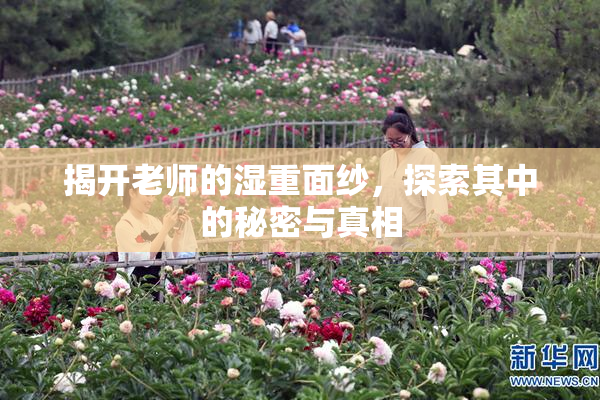 揭开老师的湿重面纱，探索其中的秘密与真相