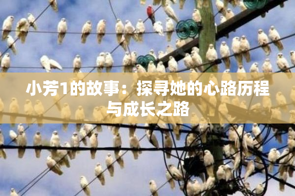 小芳1的故事：探寻她的心路历程与成长之路