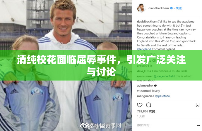 清纯校花面临屈辱事件，引发广泛关注与讨论