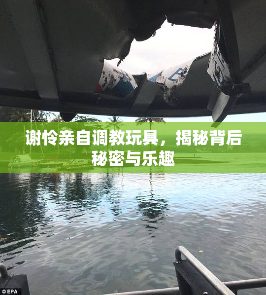 谢怜亲自调教玩具，揭秘背后秘密与乐趣