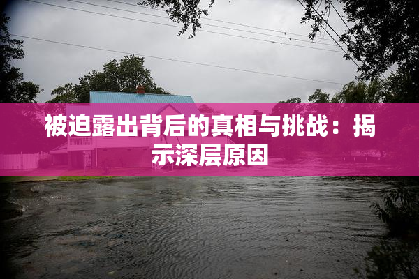 被迫露出背后的真相与挑战：揭示深层原因