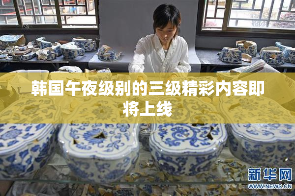 韩国午夜级别的三级精彩内容即将上线