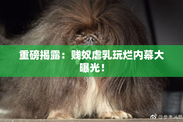 重磅揭露：贱奴虐乳玩烂内幕大曝光！