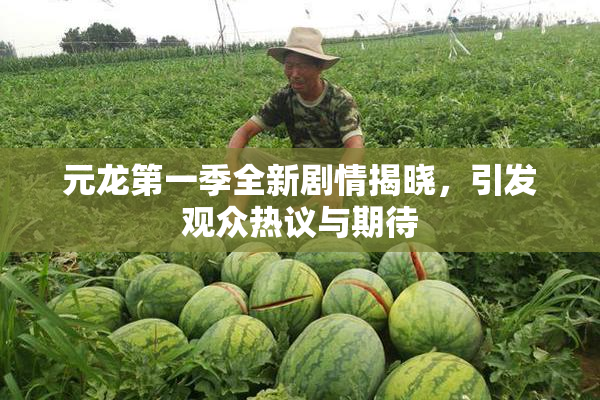 元龙第一季全新剧情揭晓，引发观众热议与期待